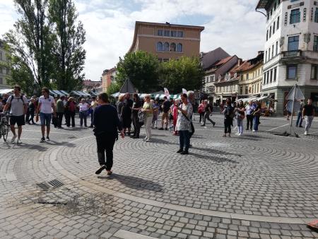 Lupa 3.jpg